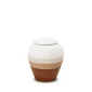 EarthBrown™ biologisch afbreekbare mini-urn eco pigment