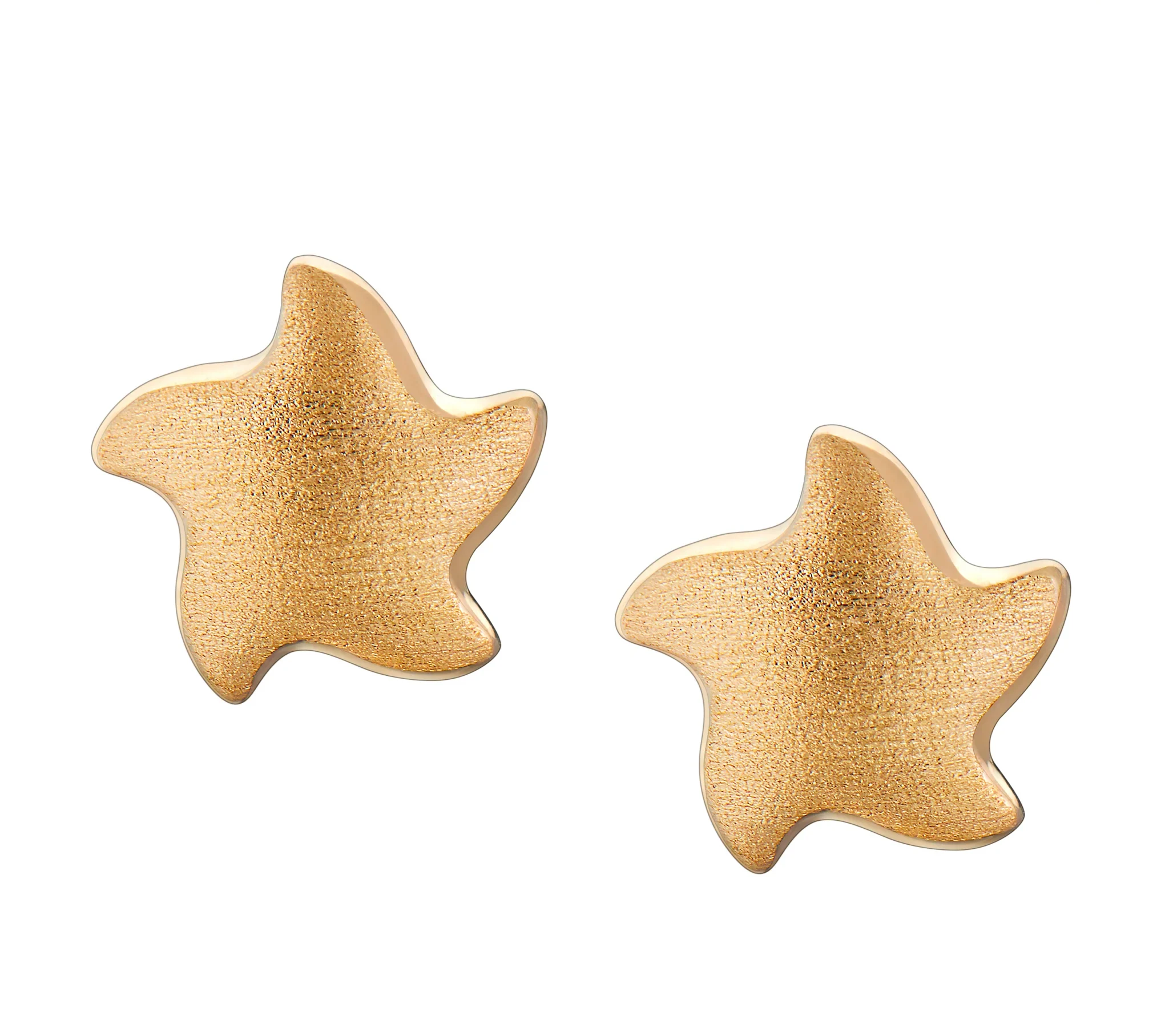 Angelic Star™ ster oorbellen goud verguld
