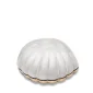 Shell™ schelp mini-urn parelmoer wit