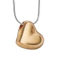 Leaning Heart™ hart ashanger/assieraad goud verguld incl. collier