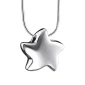 Angelic Star™ ster ashanger/assieraad zilver incl. collier