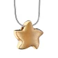 Angelic Star™ ster ashanger/assieraad goud verguld incl. collier