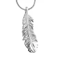 Feather™ ashanger/assieraad veer zilver incl. collier
