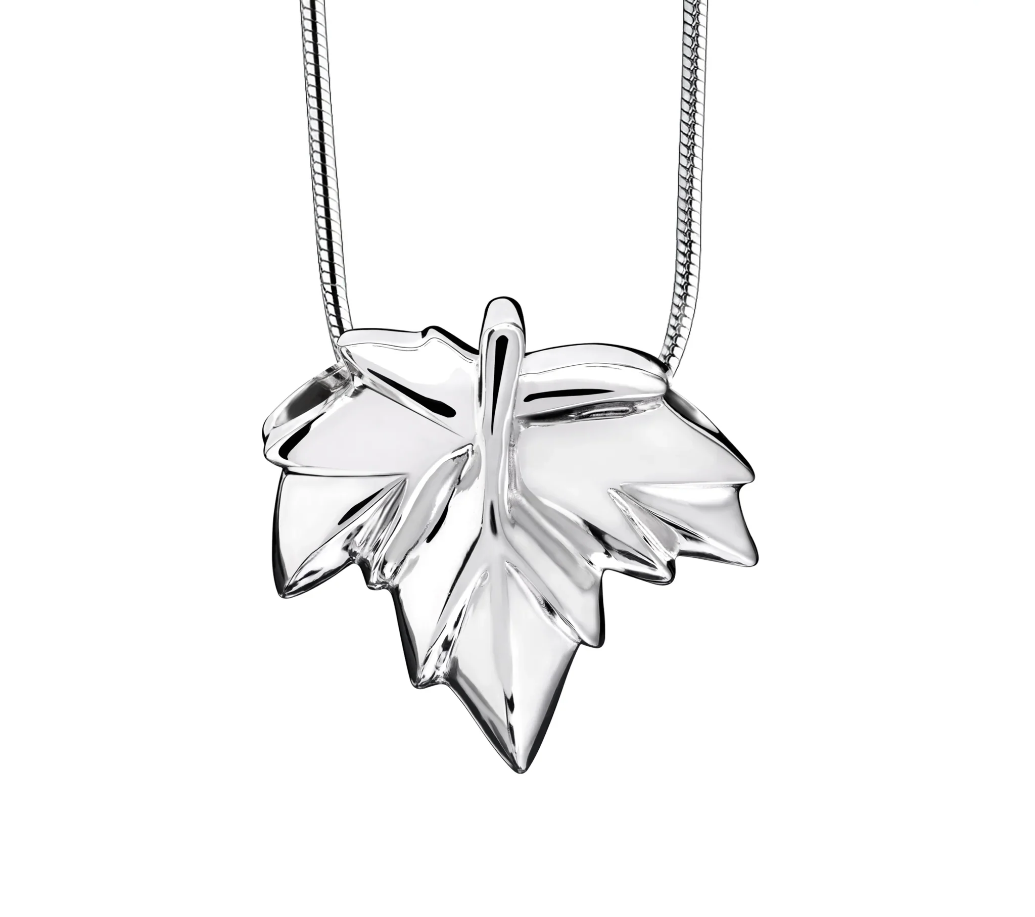 Autumn Leaf™ ashanger/assieraad zilver incl. collier