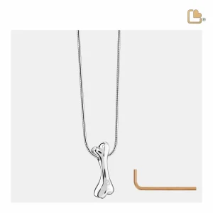 DogBone™ hondenbot dieren ashanger/assieraad zilver incl. collier - Afbeelding 5