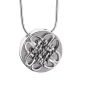 CelticCircle™ Keltische ashanger/assieraad zilver incl. collier