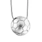 FootBall™ voetbal ashanger/assieraad zilver incl. collier