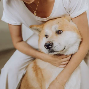 Lock ashanger/assieraad slotje incl. collier - Afbeelding 5