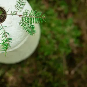 Loop EarthRise™ Calm paddenstoelen bio urn 9