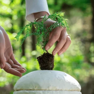 Loop EarthRise™ Calm paddenstoelen bio urn - Afbeelding 4