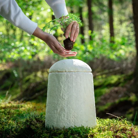 Loop EarthRise™ Calm paddenstoelen bio urn