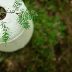 Loop EarthRise™ Calm paddenstoelen bio urn 4