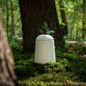 Loop EarthRise™ Calm paddenstoelen bio urn - Afbeelding 7