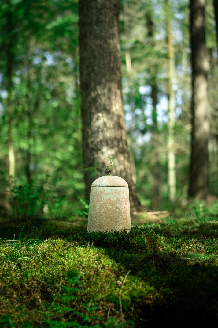 Loop EarthRise™ Wild paddenstoelen bio urn 4