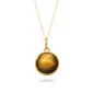 Ashanger / assieraad tijgeroog goud
