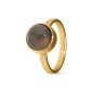 Ring / assieraad grijze maansteen goud