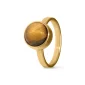 Ring / assieraad tijgeroog goud