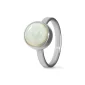 Ring / assieraad parelmoer edelstaal