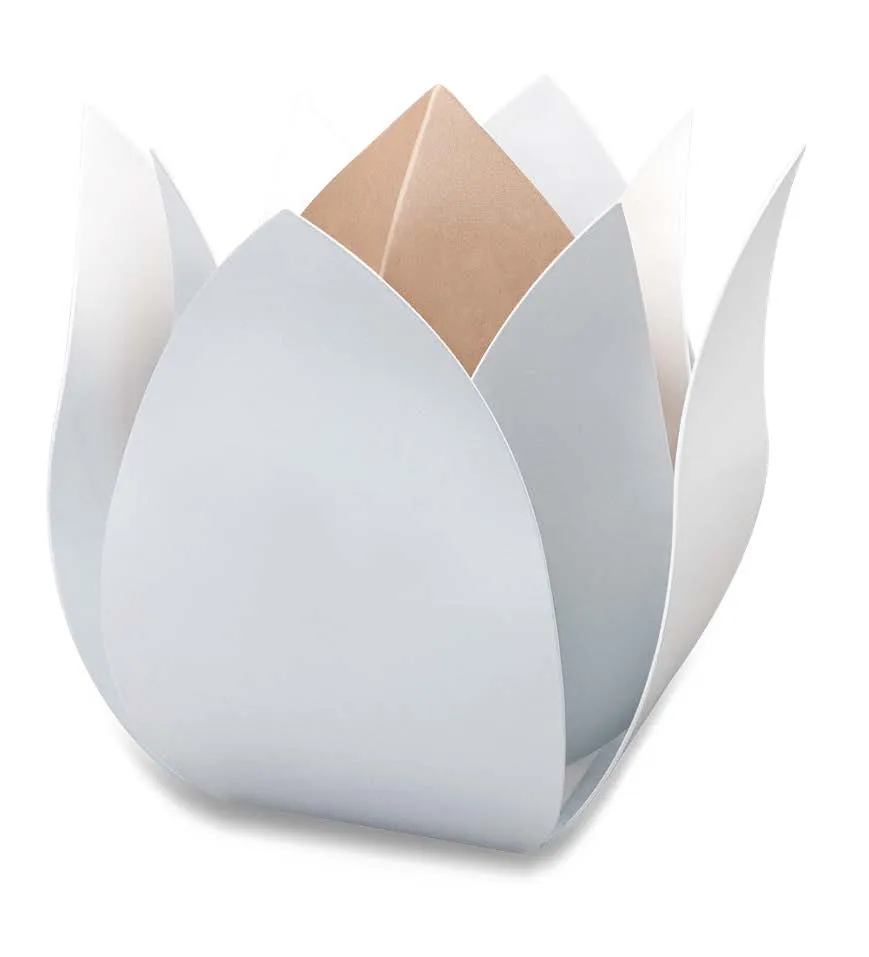 Tulp buiten urn wit en champagne