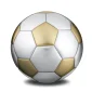 Football™ voetbal urn geborsteld goud & geborsteld zilver