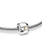 Entwined Hearts™ hartjes asbedel/assieraad zilver & goud verguld