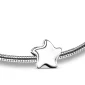 Angelic Star™ ster asbedel/assieraad zilver