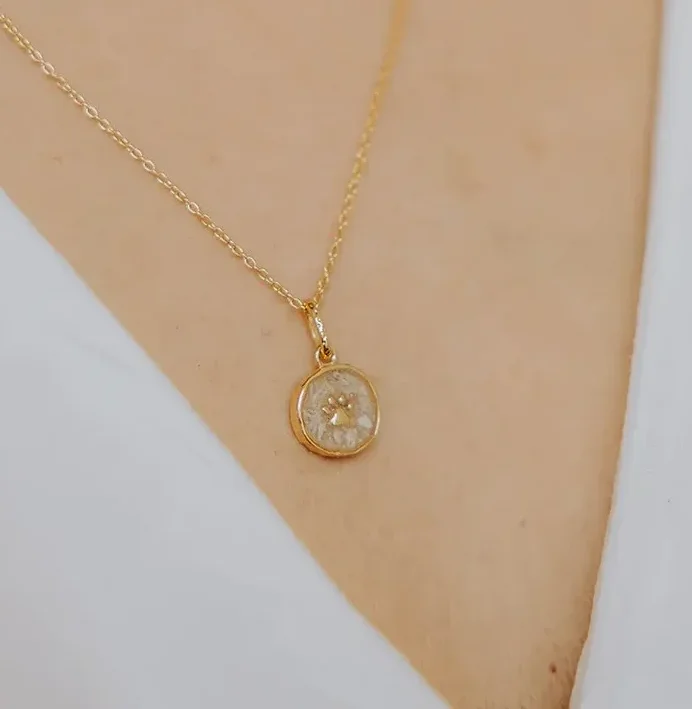 Pootje ashanger/assieraad