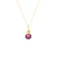 Birthstone ashanger / assieraad februari amethist goud