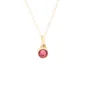 Birthstone ashanger / assieraad juli robijn goud