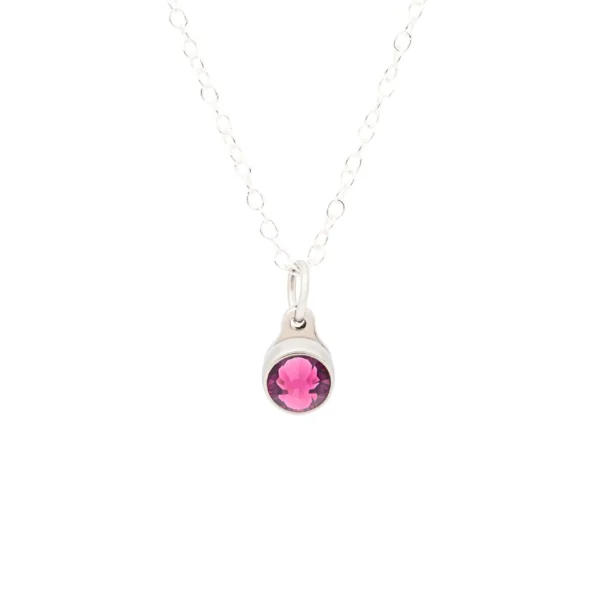 TB-BI-PS-FEB Birthstone ashanger / assieraad februari amethist edelstaal