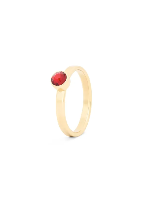 Birthstone ring / assieraad januari granaat edelsteen goud tadblu