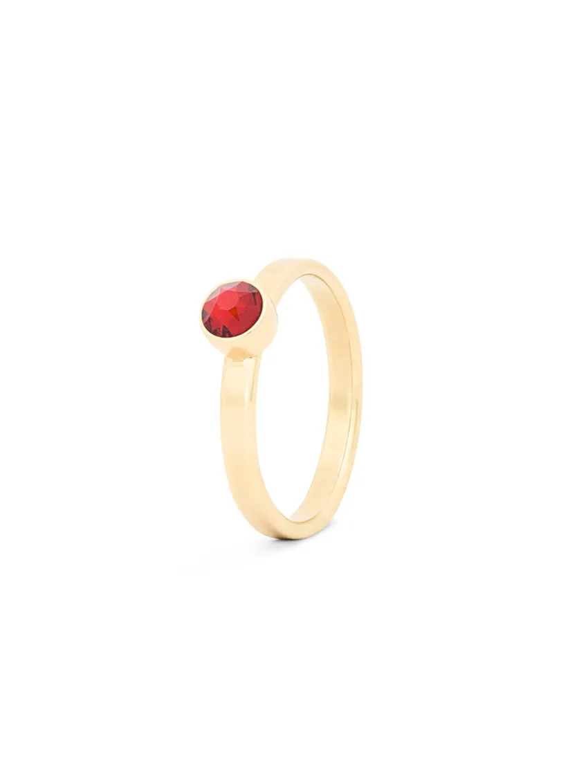 Birthstone ring / assieraad januari granaat edelsteen goud tadblu