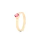 Birthstone ring / assieraad juli robijn edelsteen goud tadblu