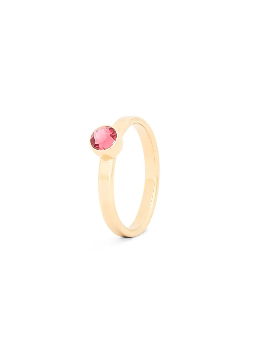 Birthstone ring / assieraad juli robijn edelsteen goud tadblu