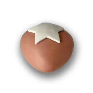 Keramische kinderurn Ster roze voor