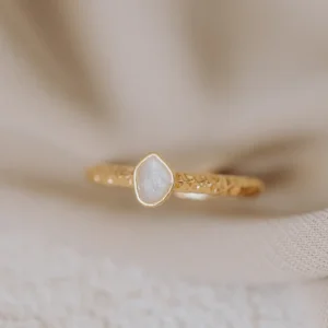 Memento as ring/assieraad