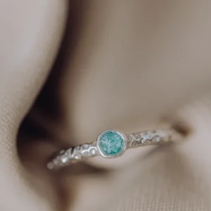 Round as ring/assieraad zilver groen solo