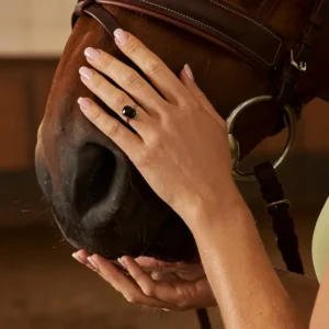 Paardenhaar sieraden