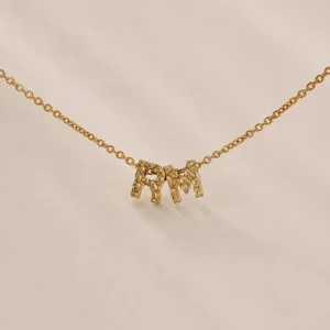 Mini Initial letter ketting met 2 letters